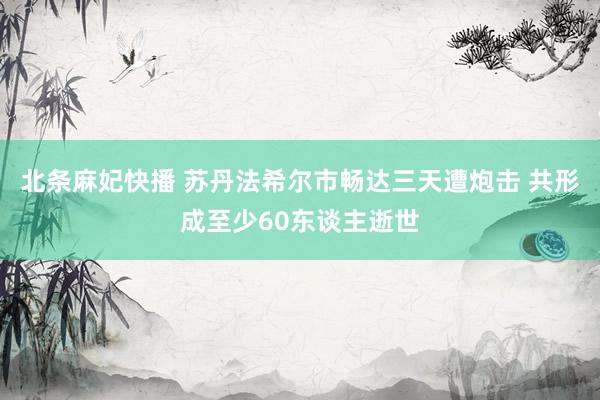 北条麻妃快播 苏丹法希尔市畅达三天遭炮击 共形成至少60东谈主逝世