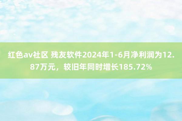 红色av社区 残友软件2024年1-6月净利润为12.87万元，较旧年同时增长185.72%