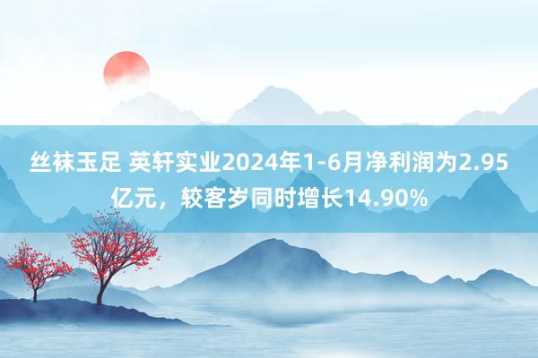 丝袜玉足 英轩实业2024年1-6月净利润为2.95亿元，较客岁同时增长14.90%