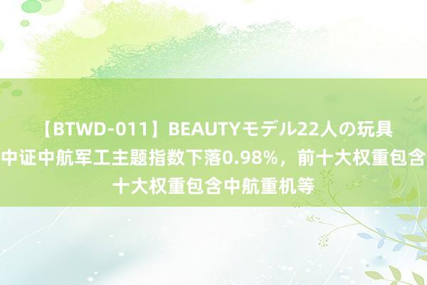 【BTWD-011】BEAUTYモデル22人の玩具責め4時間 中证中航军工主题指数下落0.98%，前十大权重包含中航重机等