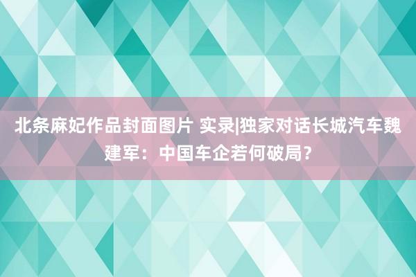 北条麻妃作品封面图片 实录|独家对话长城汽车魏建军：中国车企若何破局？