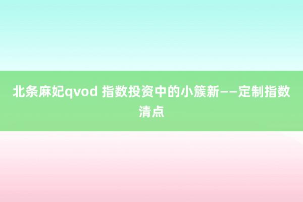 北条麻妃qvod 指数投资中的小簇新——定制指数清点