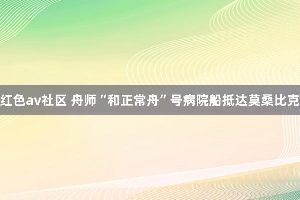 红色av社区 舟师“和正常舟”号病院船抵达莫桑比克