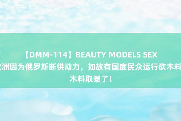 【DMM-114】BEAUTY MODELS SEX BEST 欧洲因为俄罗斯断供动力，如故有国度民众运行砍木料取暖了！