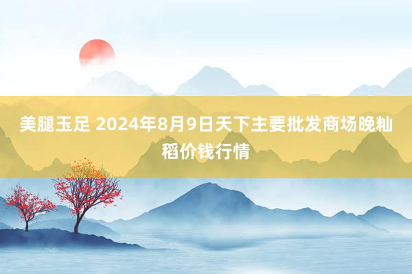 美腿玉足 2024年8月9日天下主要批发商场晚籼稻价钱行情