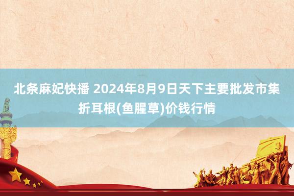 北条麻妃快播 2024年8月9日天下主要批发市集折耳根(鱼腥草)价钱行情