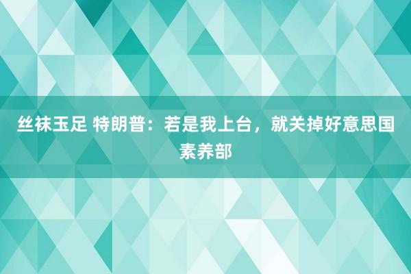 丝袜玉足 特朗普：若是我上台，就关掉好意思国素养部