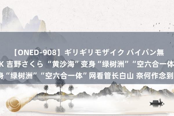 【ONED-908】ギリギリモザイク パイパン無限絶頂！激イカセFUCK 吉野さくら “黄沙海”变身“绿树洲”“空六合一体”网看管长白山 奈何作念到的？