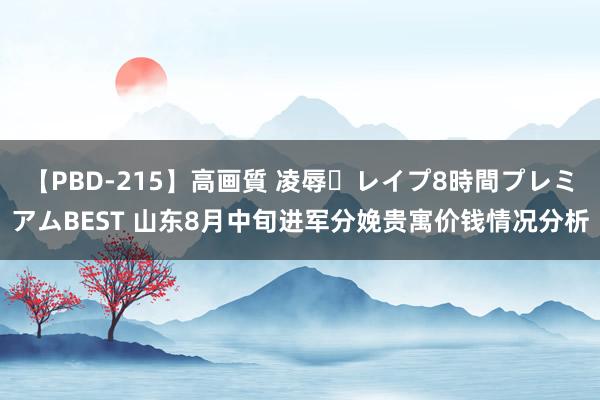 【PBD-215】高画質 凌辱・レイプ8時間プレミアムBEST 山东8月中旬进军分娩贵寓价钱情况分析