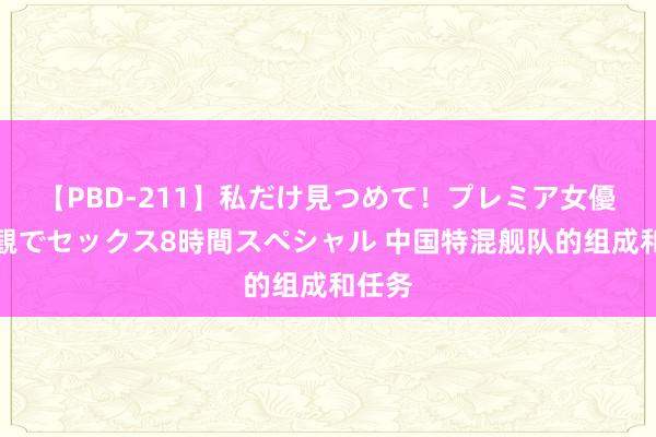 【PBD-211】私だけ見つめて！プレミア女優と主観でセックス8時間スペシャル 中国特混舰队的组成和任务