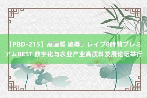 【PBD-215】高画質 凌辱・レイプ8時間プレミアムBEST 数字化与农业产业高质料发展论坛举行