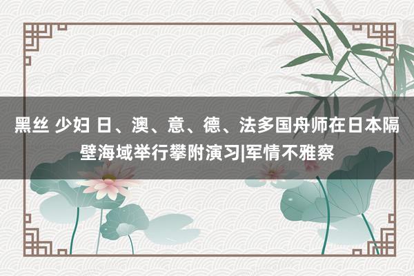 黑丝 少妇 日、澳、意、德、法多国舟师在日本隔壁海域举行攀附演习|军情不雅察