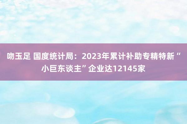 吻玉足 国度统计局：2023年累计补助专精特新“小巨东谈主”企业达12145家