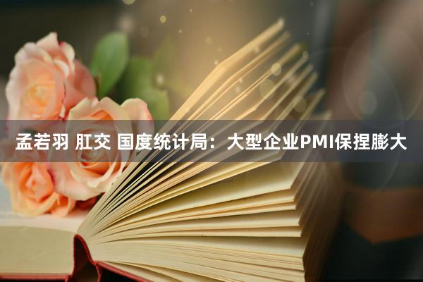 孟若羽 肛交 国度统计局：大型企业PMI保捏膨大