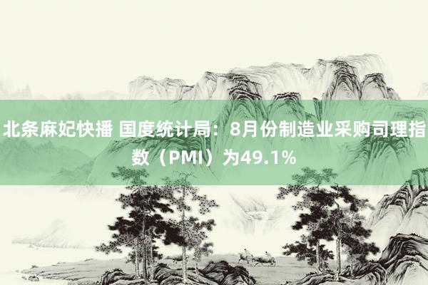 北条麻妃快播 国度统计局：8月份制造业采购司理指数（PMI）为49.1%