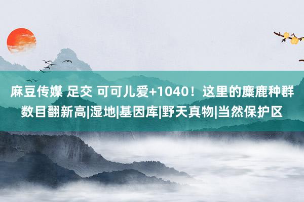 麻豆传媒 足交 可可儿爱+1040！这里的麋鹿种群数目翻新高|湿地|基因库|野天真物|当然保护区