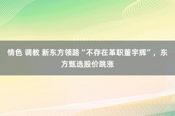 情色 调教 新东方领路“不存在革职董宇辉”，东方甄选股价跳涨