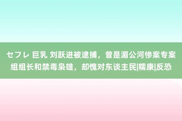 セフレ 巨乳 刘跃进被逮捕，曾是湄公河惨案专案组组长和禁毒枭雄，却愧对东谈主民|糯康|反恐