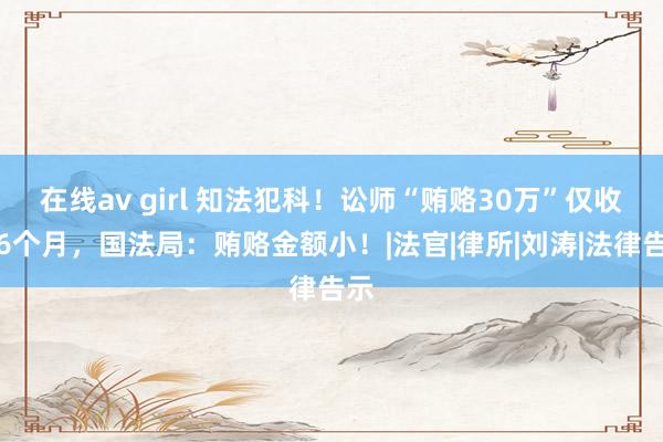 在线av girl 知法犯科！讼师“贿赂30万”仅收歇6个月，国法局：贿赂金额小！|法官|律所|刘涛|法律告示